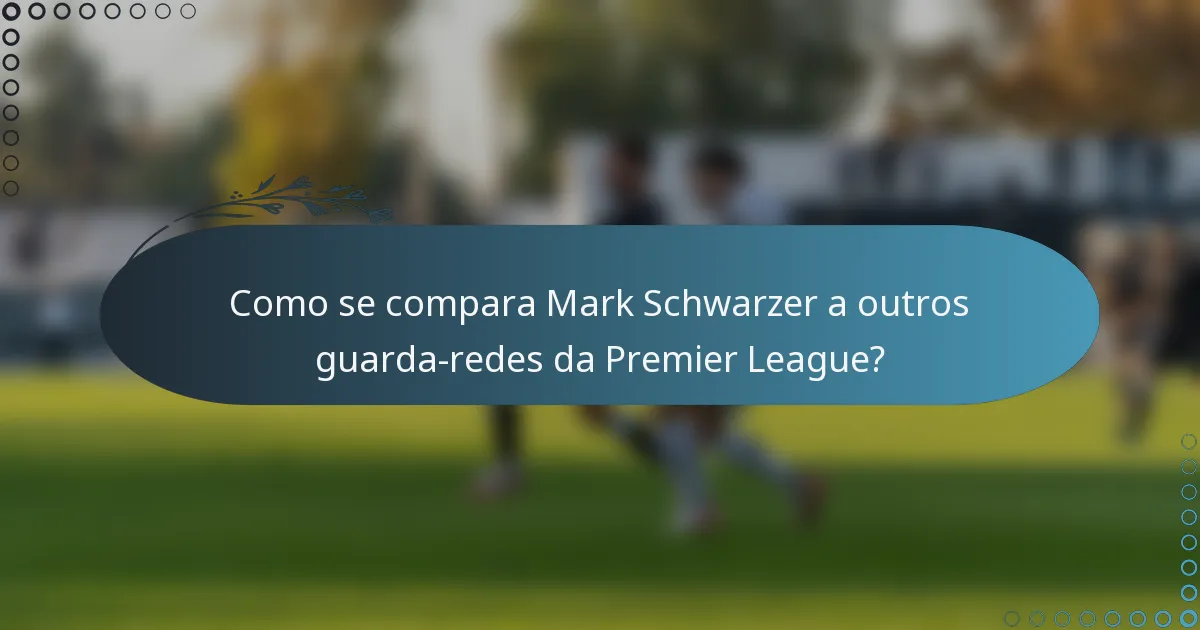Como se compara Mark Schwarzer a outros guarda-redes da Premier League?