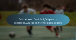 Read more about the article Dario Vidosic: Contribuições para os Socceroos, Aparições internacionais, Legado
